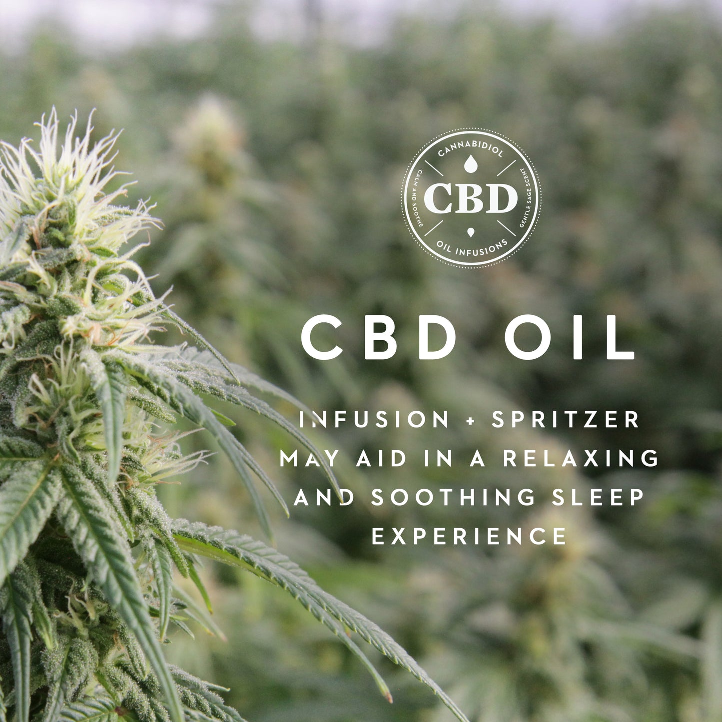 CBD Active Dough Pillow