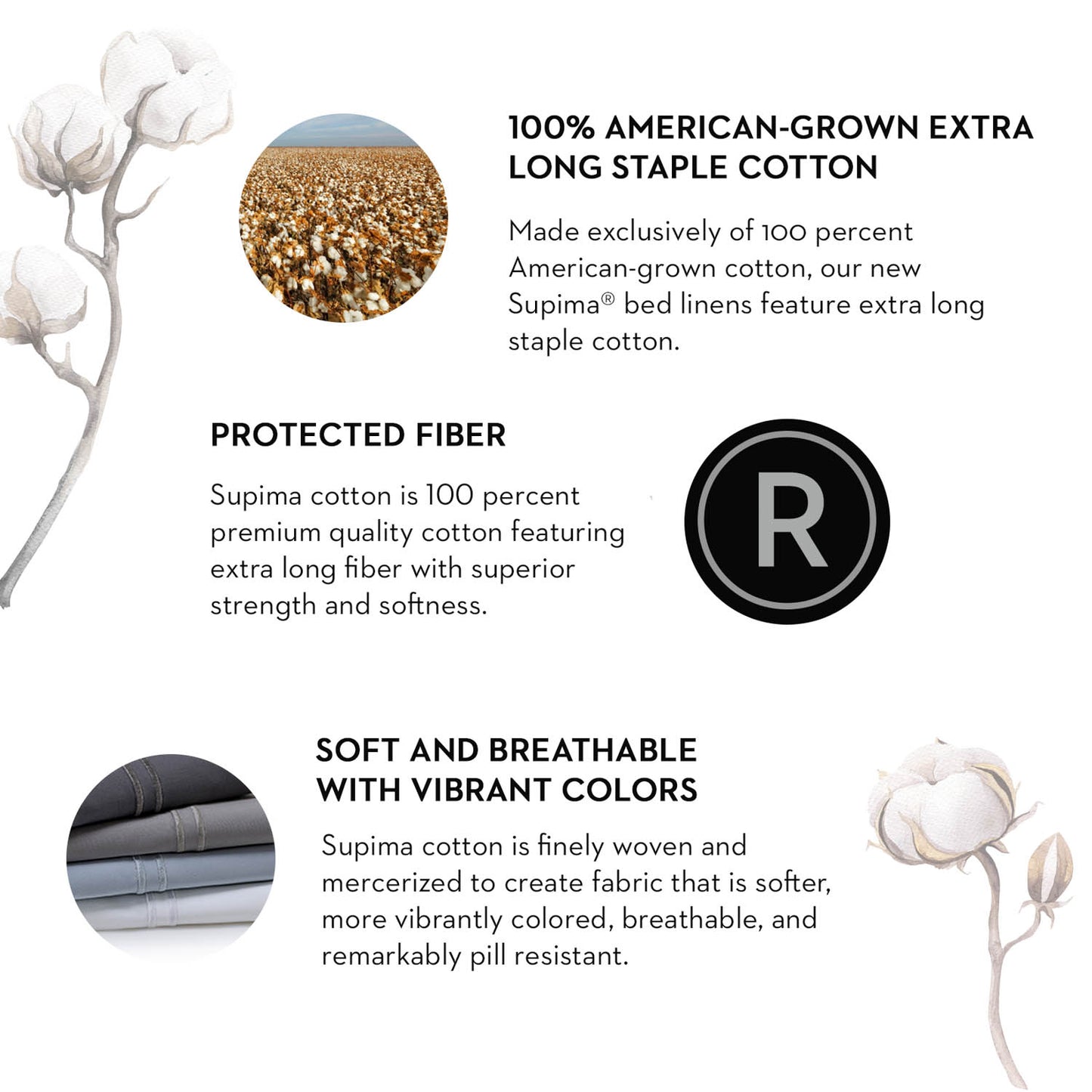 Natural Supima Cotton Sheet Set